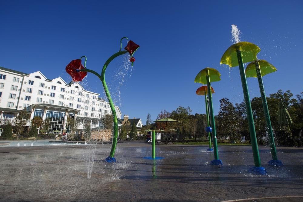 פיג'ן פורג' Dollywood'S Dreammore Resort And Spa מראה חיצוני תמונה